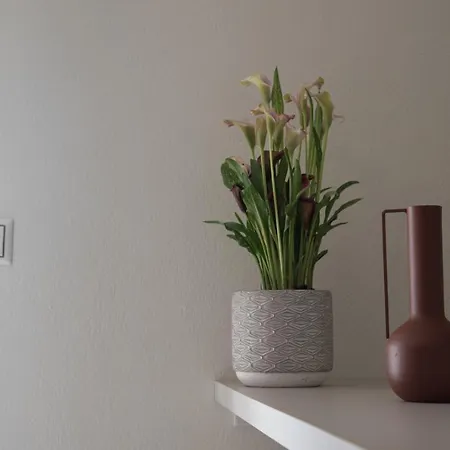 아파트호텔 Vertigo Seaside 니키티