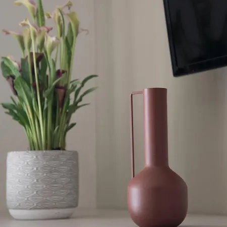 Vertigo Seaside 니키티