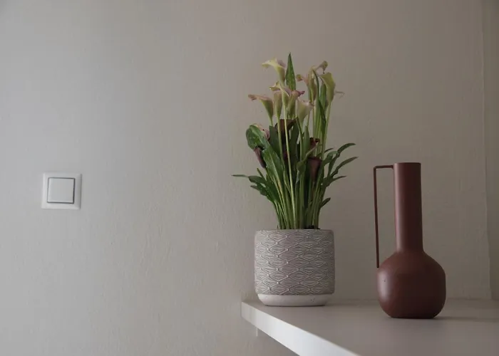 Apartahotel Vertigo Seaside Nikiti (Sithonia)